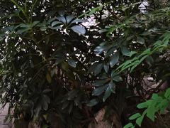 -文儒九号·闽菜馆(三坊七巷店)