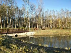 -黄海国家森林公园