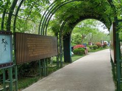 -杭州湾海上花田景区