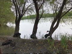 -长兴太湖图影湿地文化园