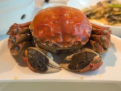 -西湖春天•老字号杭州菜(百汇店)