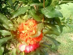 -防灾科技学院(南校区)