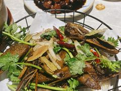 -小肥猫餐厅(海宁万朵城店)