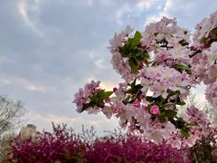 -海棠花溪(元大都城垣遗址公园)