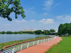 -贡湖湾湿地公园