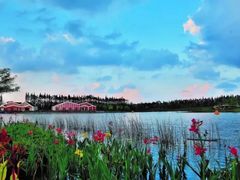 -上海长兴岛郊野公园