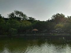 -金砂公园