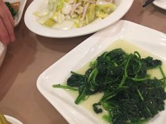 -新南华大酒店(广中店)