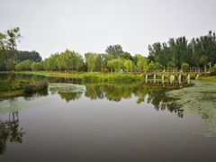 -东郊湿地公园