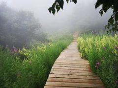 -白草畔自然风景区