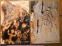 -宁夏博物馆