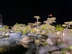 -罗红摄影艺术馆