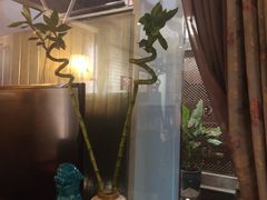 -三只耳火锅(宽窄巷子店)