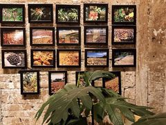 -GOTLOT COFFEE&KITCHEN角落厨房NOOK店