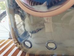 -伟伟宠物医院·瑞派猫友好医院·猫科(光谷店)