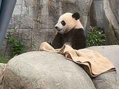 -香港海洋公园