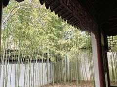 -秋霞圃