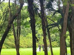 -深圳湾公园(南山区)
