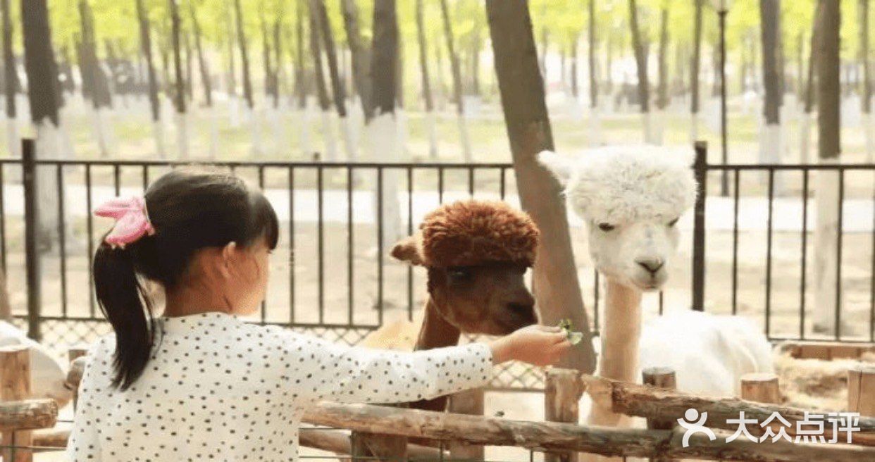 春天溜娃的森林圣地，蓝可可亲子乐园