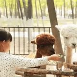 春天溜娃的森林圣地，蓝可可亲子乐园