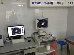 特殊诊疗室一角-全心全意连锁动物医院(加州店)