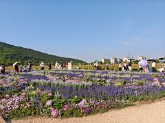 -那拉提之疆·新疆菜(美院店)