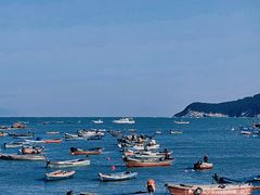 -海源公园