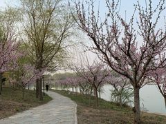 -廊坊市自然公园