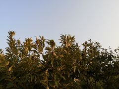 -瓦厂酒店