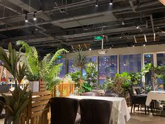 -百好乐宠物友好餐厅(朝外大街店)