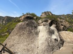 -大岭沟猕猴桃谷风景区