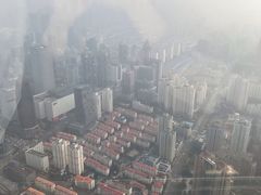 -上海柏悦酒店·世纪100牛排馆