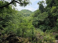 -广州白江湖森林公园