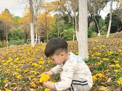-天河儿童公园