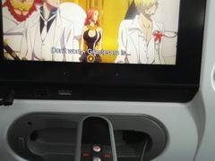 -全日本空输株式会社(上海办事处)