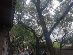 -北京国子监胡同
