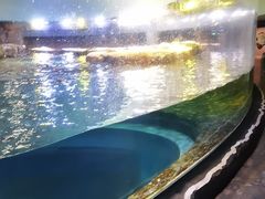 -新加坡飞禽公园