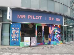 -飞行喵MR PILOT|猫舍·猫咖(静安大融城店)
