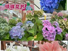 -盈香心动乐园