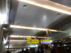 指引牌-谢列梅捷沃国际机场