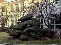 -上海虹桥迎宾馆