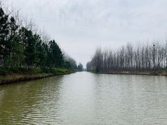 -合肥滨湖国家森林公园