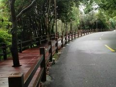 -普陀山风景名胜区-法雨禅寺