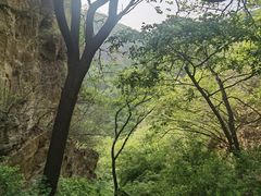 -老象峰