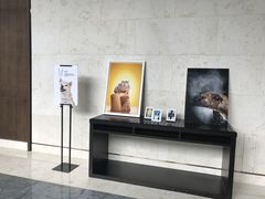 -上海崇明金茂凯悦酒店