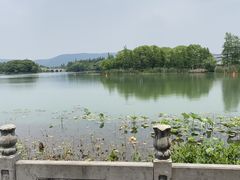 -尚湖风景区