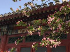 -海棠花溪(元大都城垣遗址公园)