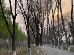 -东郊湿地公园