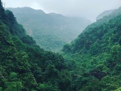 -天门沟九州驿站树上汤泉