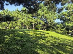 -燕儿岛山公园